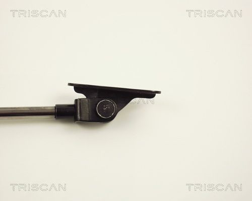 Упругий элемент, крышка багажника / помещения для груза 8710 13233 TRISCAN