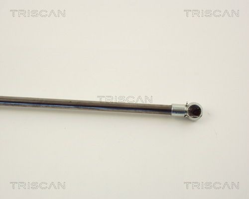 Упругий элемент, крышка багажника / помещения для груза 8710 13251 TRISCAN
