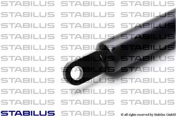 Упругий элемент, крышка багажника / помещения для груза 1829BK STABILUS