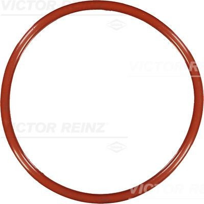 Уплотняющее кольцо 40-76541-00 VICTOR REINZ