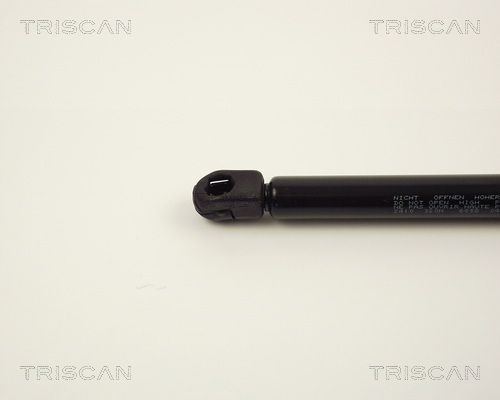 Упругий элемент, крышка багажника / помещения для груза 87102410 TRISCAN