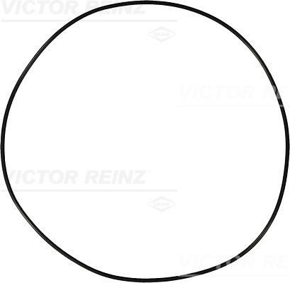 Уплотняющее кольцо 40-76910-10 VICTOR REINZ