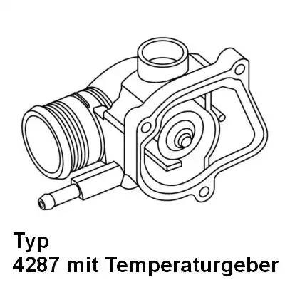 Термостат, охлаждающая жидкость 428792D WAHLER