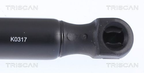 Упругий элемент, крышка багажника / помещения для груза 871015204 TRISCAN