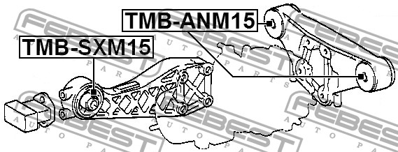 Опора дифференциала TMB-SXM15 FEBEST