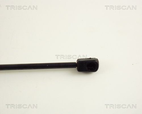 Упругий элемент, крышка багажника / помещения для груза 871016207 TRISCAN