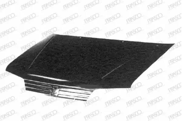 Капот двигателя PG0053100 PRASCO GROUP