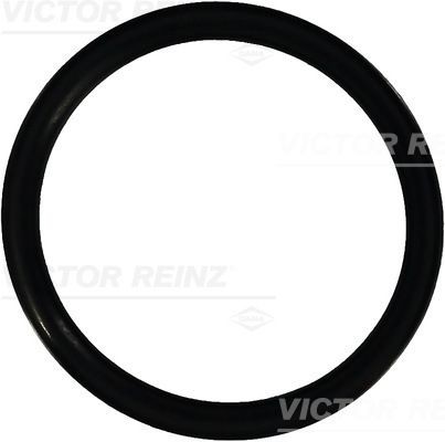 Уплотняющее кольцо 407693310 VICTOR REINZ