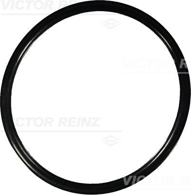 Уплотняющее кольцо 40-76150-00 VICTOR REINZ