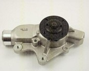 Водяной насос 860080006 TRISCAN