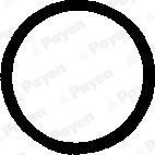 Прокладка, болт крышка головки цилиндра PB248 PAYEN