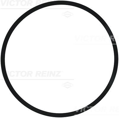 Уплотняющее кольцо 40-77210-00 VICTOR REINZ