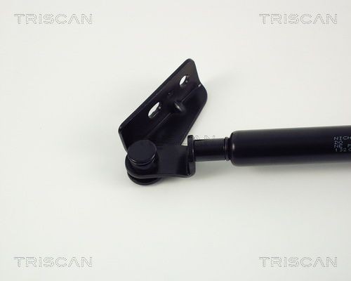 Упругий элемент, крышка багажника / помещения для груза 871013204 TRISCAN