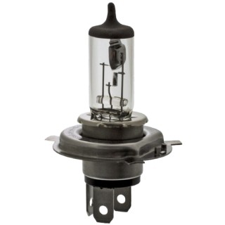 Лампа накаливания, основная фара 06583 FEBI BILSTEIN