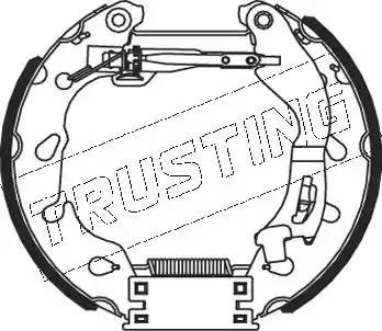 Комплект тормозных колодок, диско 546.0 TRUSTING