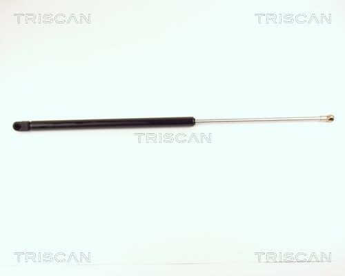 Упругий элемент, крышка багажника / помещения для груза 871016213 TRISCAN