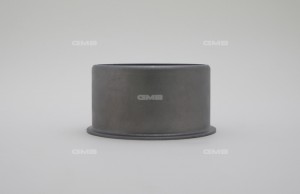 Ролик ремня ГРМ GT10061 GMB