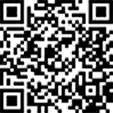 Палец ушка рессоры 041004000480 TEMPLIN