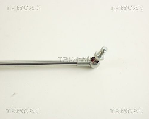 Упругий элемент, крышка багажника / помещения для груза 871050215 TRISCAN