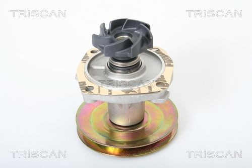 Водяной насос 860015125 TRISCAN