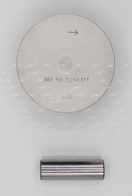 Поршень ДВС PN-53091 AUTOWELT