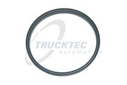Кольцо уплотнительное 01.13.068 TRUCKTEC