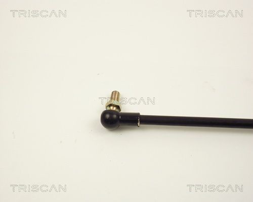 Упругий элемент, крышка багажника / помещения для груза 871013206 TRISCAN