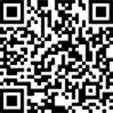 Палец ушка рессоры 041000940010 TEMPLIN
