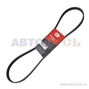 Поликлиновой ремень 5-PK-1210 GATES