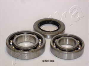 Комплект подшипника ступицы колеса 4425002 ASHIKA