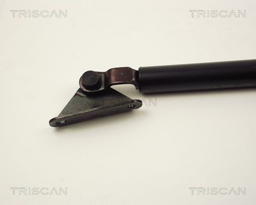 Упругий элемент, крышка багажника / помещения для груза 8710 13240 TRISCAN
