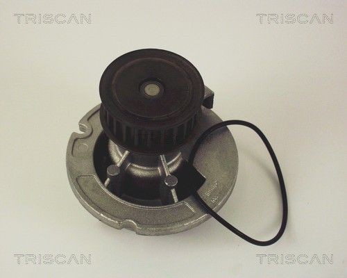 Водяной насос 8600 24010 TRISCAN