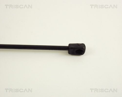Упругий элемент, крышка багажника / помещения для груза 8710 29256 TRISCAN