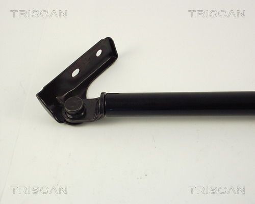 Упругий элемент, крышка багажника / помещения для груза 871050216 TRISCAN