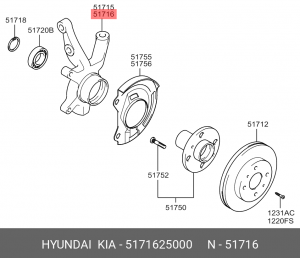 Кулак поворотный 5171625000 HYUNDAI KIA