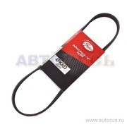 Поликлиновой ремень 4-PK-803 GATES