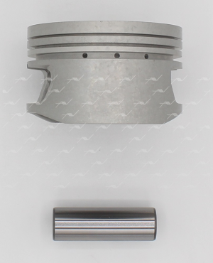 Поршень ДВС PN-53021 AUTOWELT