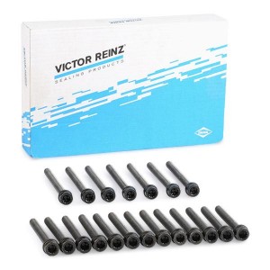 Комплект болтов головки цилидра 14-32129-02 VICTOR REINZ