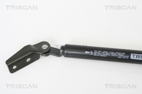 Упругий элемент, крышка багажника / помещения для груза 871068209 TRISCAN