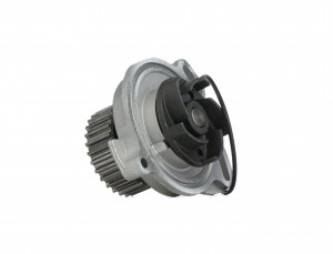 Водяной насос VKPC81606 SKF