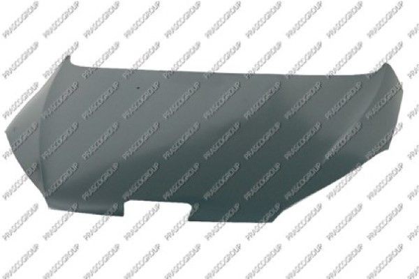 Капот двигателя PG0613100 PRASCO GROUP