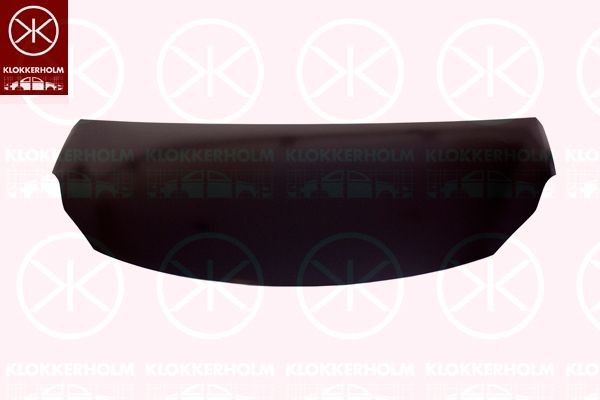 Решетка радиатора 6607994A1 KLOKKERHOLM