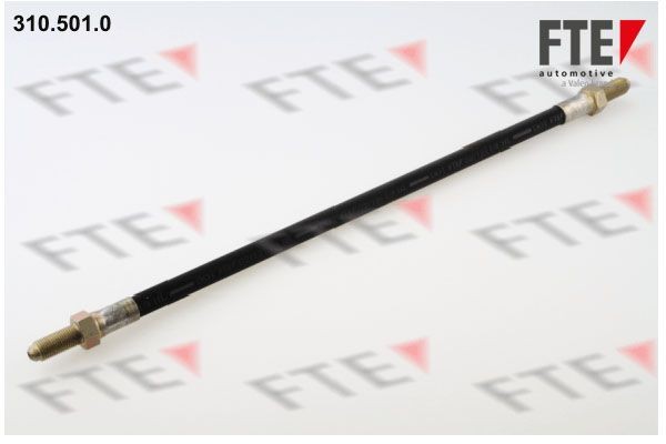 Тормозной шланг 3105010 FTE