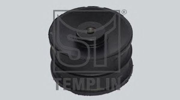 Подвеска, двигатель 083003001360 TEMPLIN