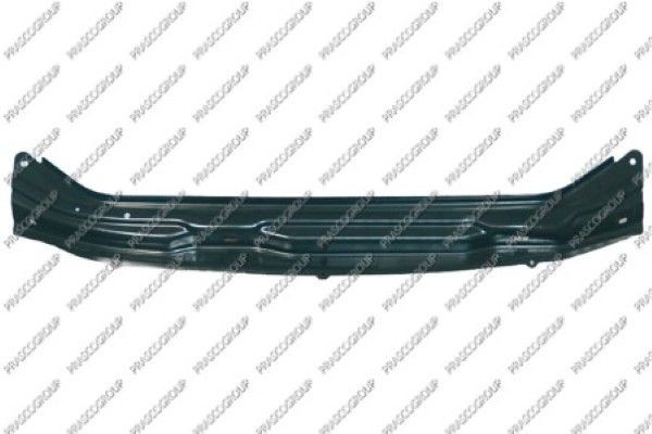 Облицовка передка RN9163201 PRASCO GROUP
