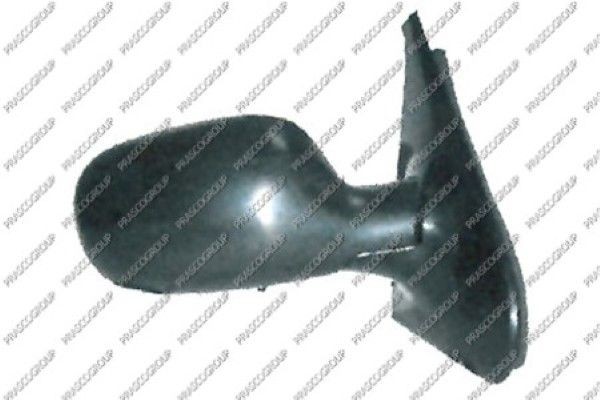 Наружное зеркало RN3227123 PRASCO GROUP
