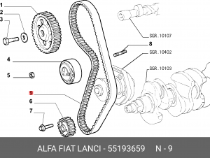 Ремень ГРМ 55193659 ALFA FIAT LANCIA
