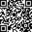 Палец ушка рессоры 041004000520 TEMPLIN