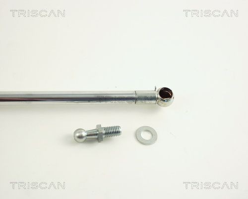 Упругий элемент, крышка багажника / помещения для груза 871050212 TRISCAN
