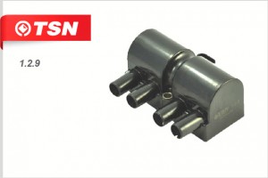 Катушка зажигания 129 TSN